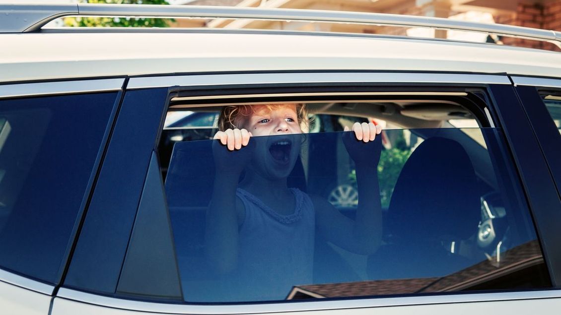 Volvo slibuje konec přehřátí dětí a zvířat zavřených v autě. Do vozů nainstaluje radar - Garáž.cz